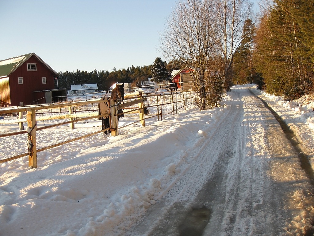 [Endelig fredags-tur igjen_110211_3398[5].jpg]