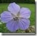clip_image033 clip_image033