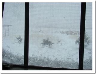 03-27-09 Snow 07