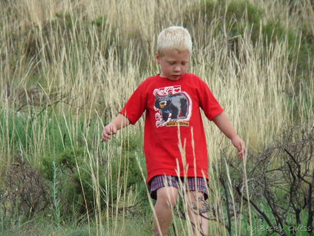 [06-24-10 Buffalo Lake Wildlife Refuge 57[2].jpg]