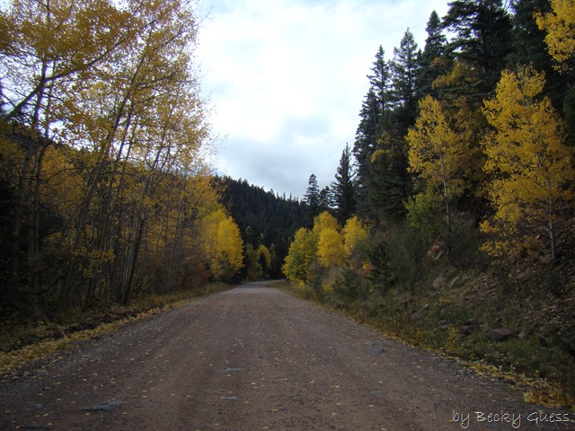 [10-22-10 to Taos 45[2].jpg]