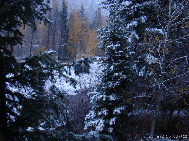 [10-23-10 first snow Taos ski 04[2].jpg]