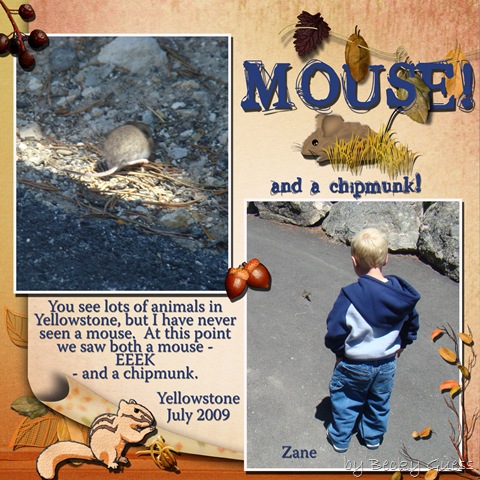 [July 09 Yellowstone mouse[3].jpg]
