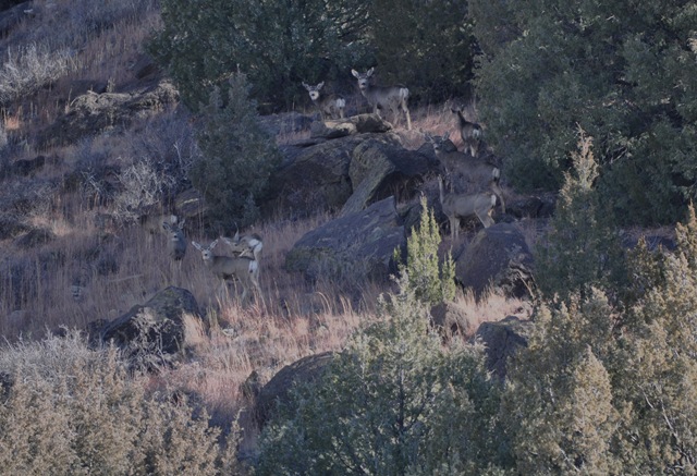 [122810triptoClaytonLakedinosaurprint[13].jpg]