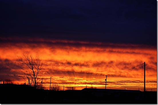 copy 12-28-10 Sunrise 3