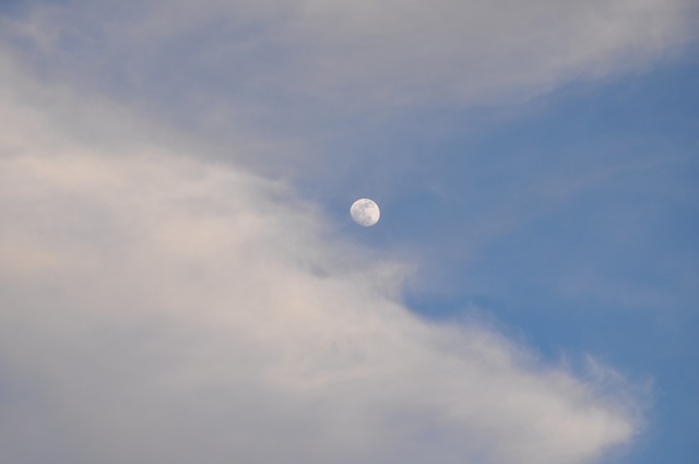 [02-15-11 moon 07[2].jpg]