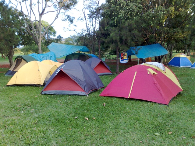 [011120093007[4].jpg]