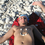GISA 2008