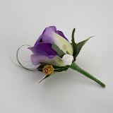 IMG_5230.jpg
