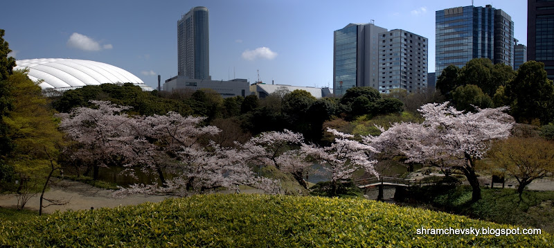 Japan Tokyo Koishikawa Korukaen Gardens Tokyo Dome Япония Токио Коишикава Корукаен Гарденс Самый Старый Парк Токио Доум Дам