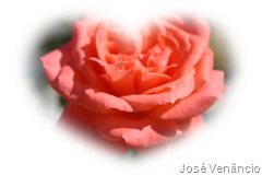 Flores-Moldura Gradient 08 no PhotoScape Flores-Moldura Gradient 08 no PhotoScape
