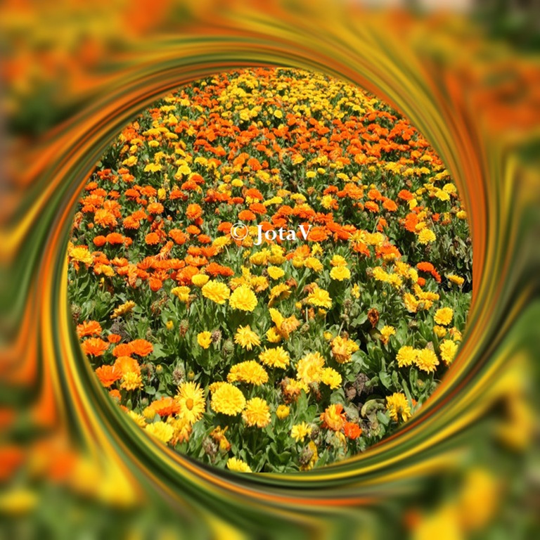 [TuxpiSwirlFrame20.jpg]