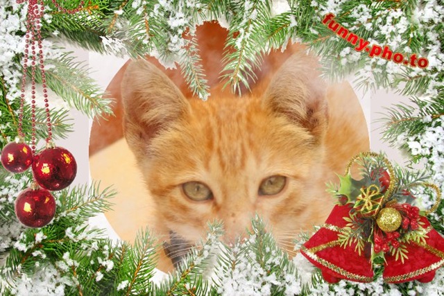 [Funny Pho-to 10[3].jpg]