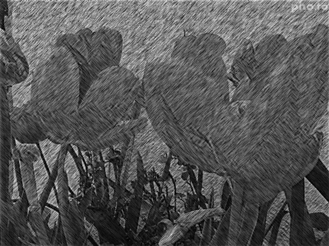 [Pencil Painting[3].jpg]