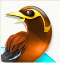 Myna Myna