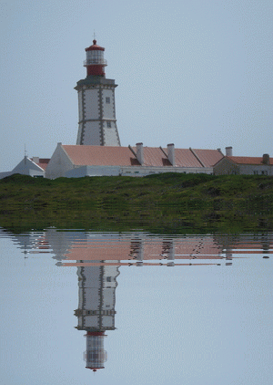 WaterEffect - FAROL WaterEffect - FAROL