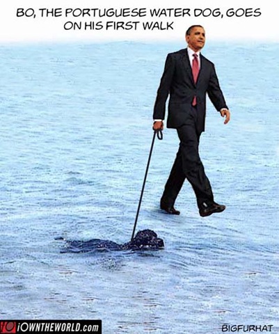 [bo walk[3].jpg]