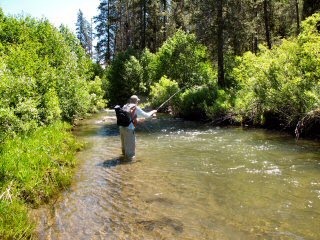 [blog_July_5_2010_2[1][4].jpg]