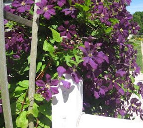 Greer SC flowers Greer SC flowers