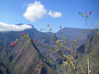 IMGP0126.JPG Photo