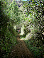 IMGP0113.JPG Photo
