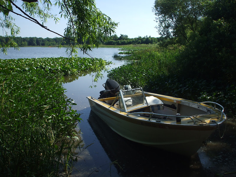 DSCF6594.JPG