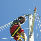 Es wird schönes Wetter: die Affen steigen