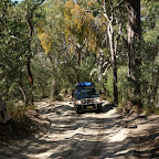 Keep Left! auch im Wald auf 4WD Strecken, hier hat es ziemlich viel Verkehr!