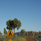 Was genau soll das denn heissen? Da vorne bei der Kirche hat gefährliche Kamele?