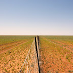 Dogfence - 5000 km Zaun