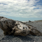 Schwemmholz an der Gillespies Beach