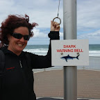 Mal kukken wie die Surfer hier in Dunedin darauf reagieren?