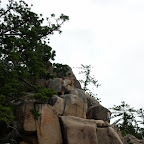 Die Bergsteiger können nicht anders