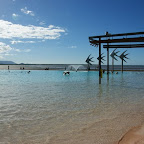die Lagune: öffentliches Planschbecken von Cairns