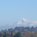  &ndash;  &ndash; 01-Nov-2009