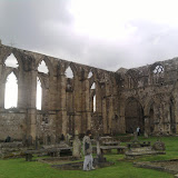 Cow n calf-bolton abbey