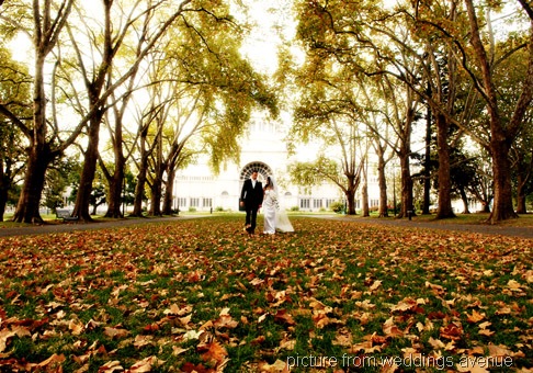 [autumn wedding weddings avenue[3].jpg]