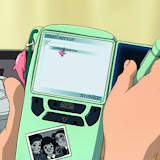 palm4.jpg