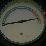palm3.jpg