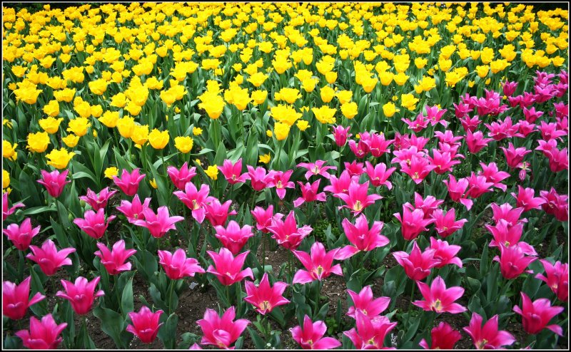 心曠神怡的[80P]