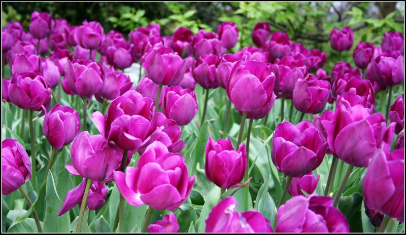 心曠神怡的[80P]