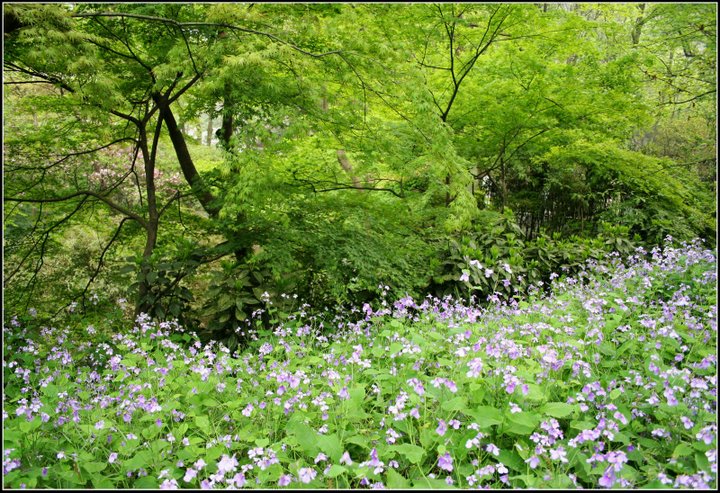 心曠神怡的[80P]