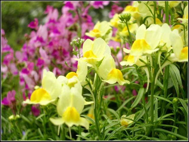 心曠神怡的[80P]