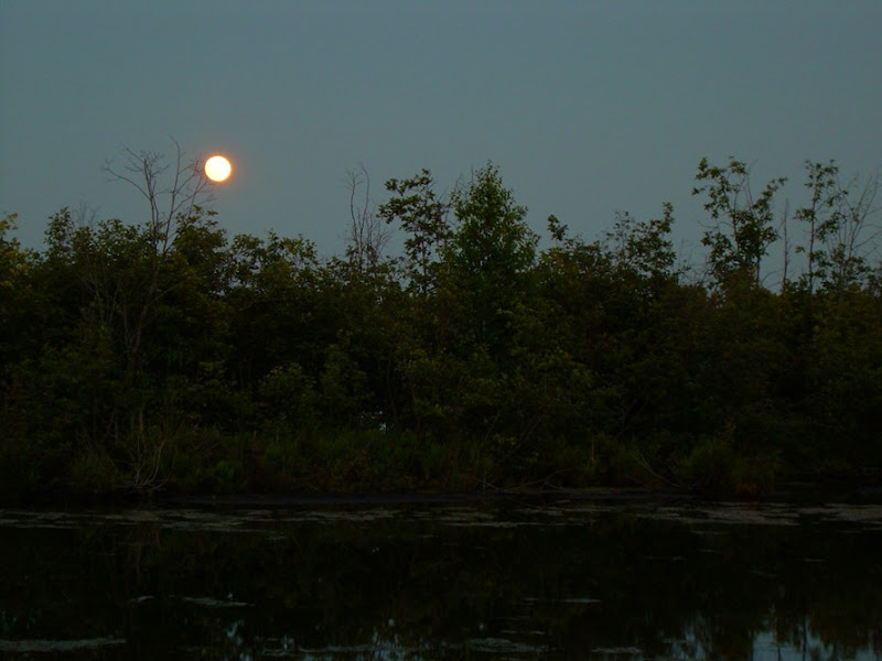 Upper Red Lake Moon (2)_1733 for online use