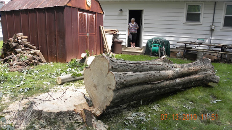 Tree JOb on Langlade (14)