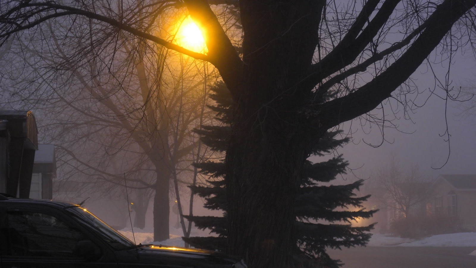 [Foggy Evening Jan 31 2010_1858Foggy Evening Jan 31 2010Compressed[2].jpg]