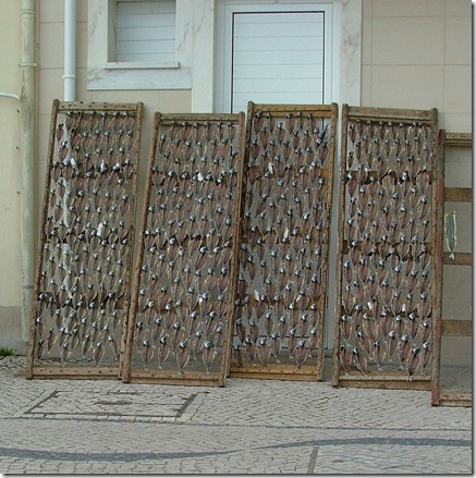 DSCF9128
