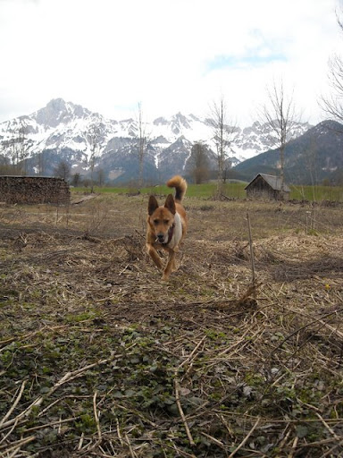 DSCN0247.jpg