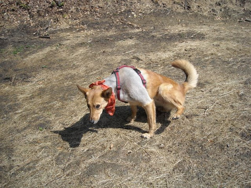 DSCN0308.jpg