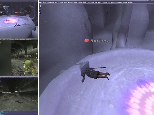 View FFXI getting owned by monsters